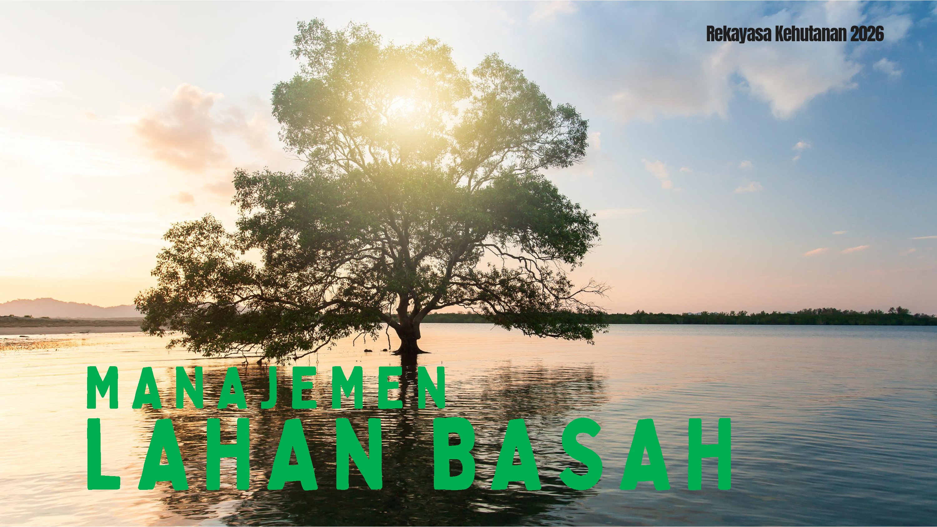 Manajemen Lahan Basah